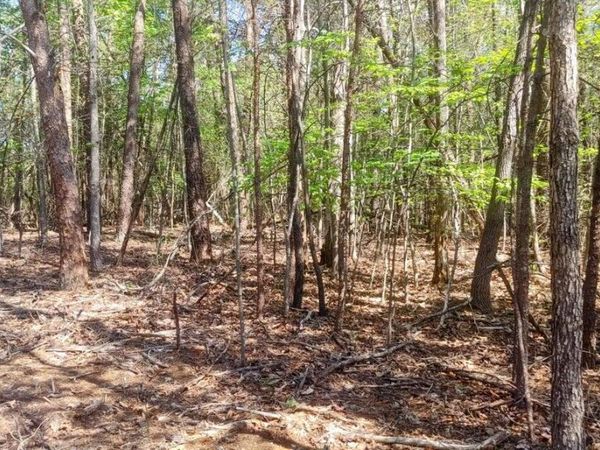 Lot 130 Harbor Landing DR, Moneta, VA 24121