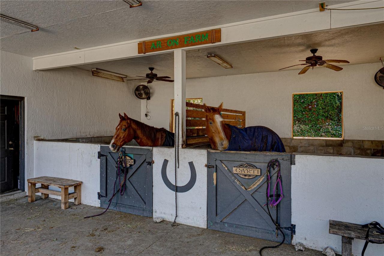 209 Frenchmans Creek Way, Winter Haven, FL 33884 Photo