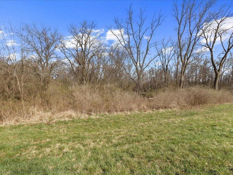 5061 Cox Road, North Lewisburg, OH 43060 Photo 48