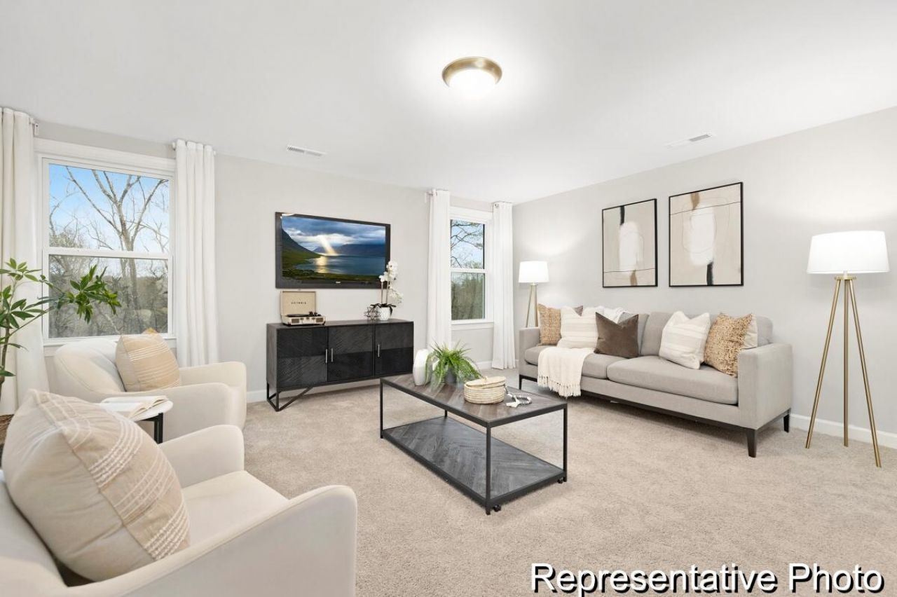 1125 Marsh Harrier Drive Photo 25