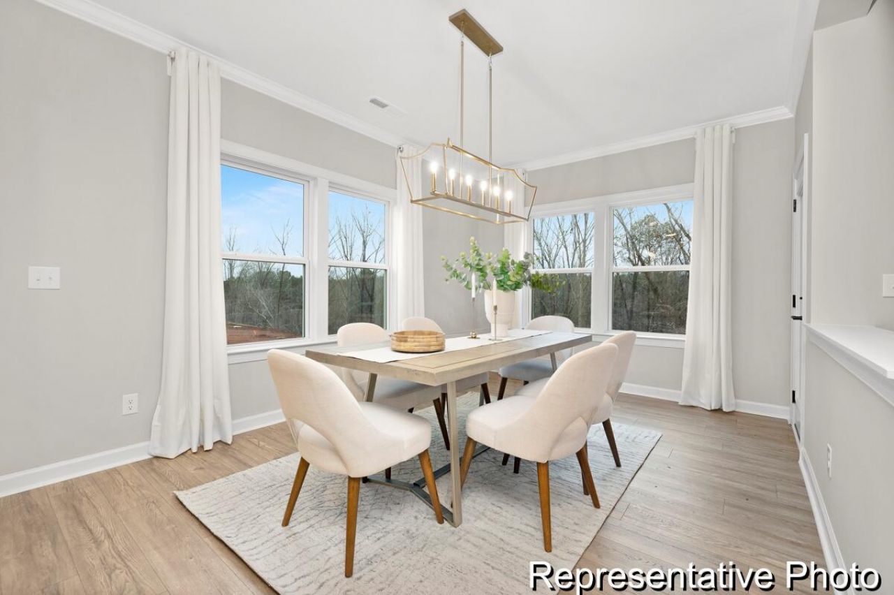 1125 Marsh Harrier Drive Photo 6