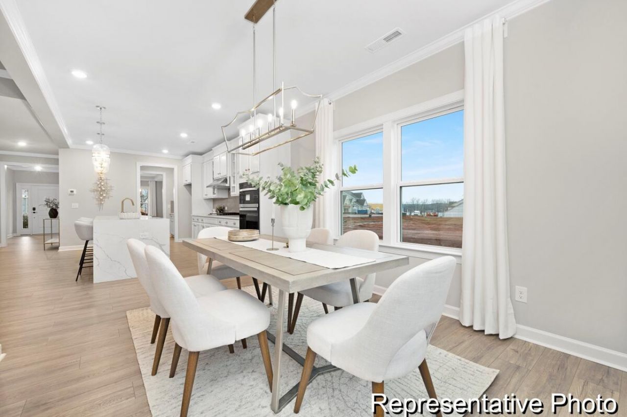 1125 Marsh Harrier Drive Photo 7