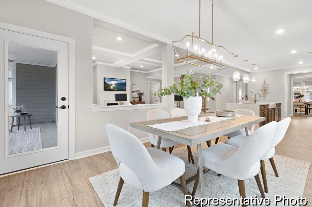 1125 Marsh Harrier Drive Photo 8