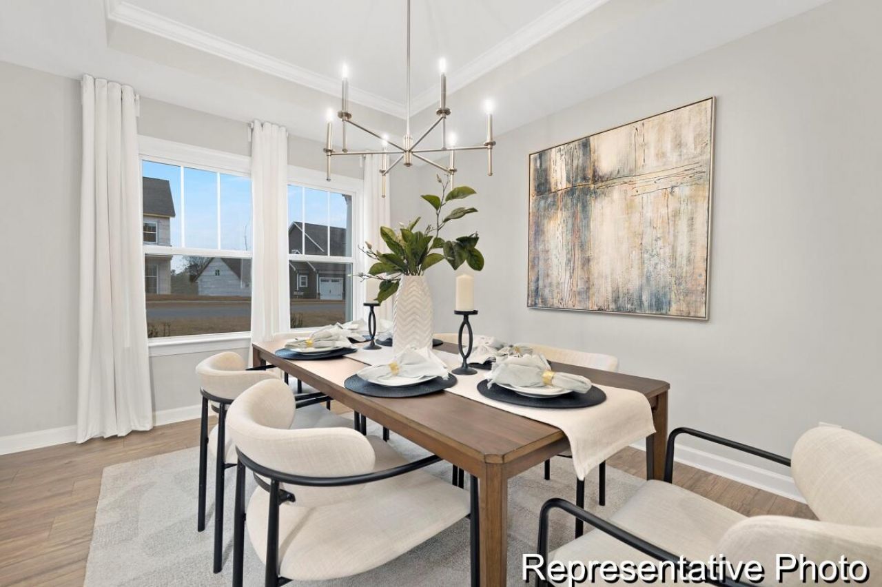 1125 Marsh Harrier Drive Photo 9