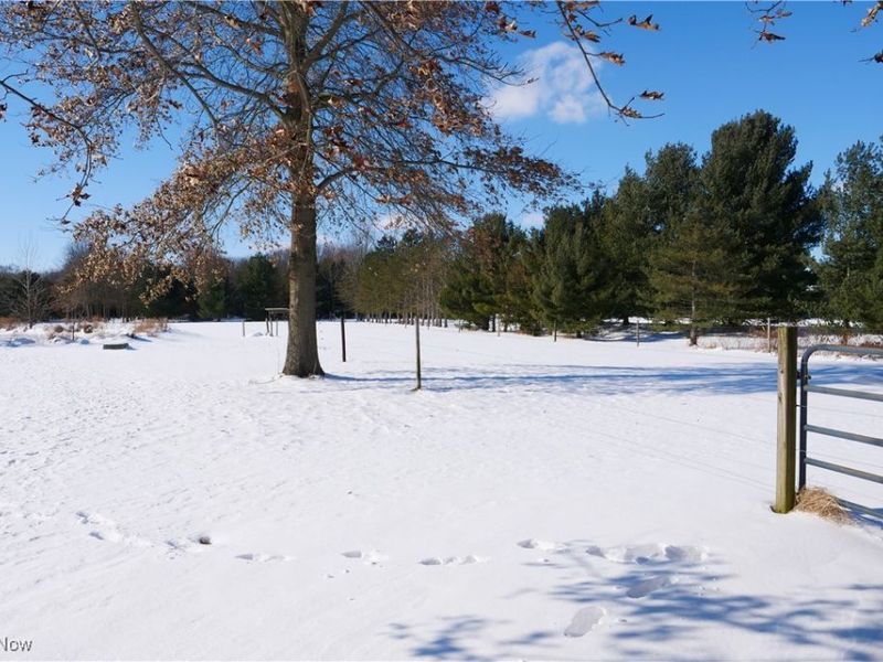 20630 State Route 301, Wellington, OH 44090 Photo 39