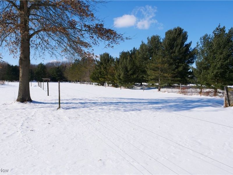 20630 State Route 301, Wellington, OH 44090 Photo 40