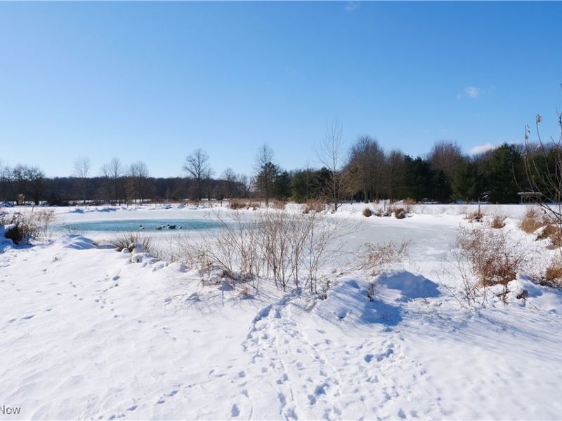 20630 State Route 301, Wellington, OH 44090 Photo 41