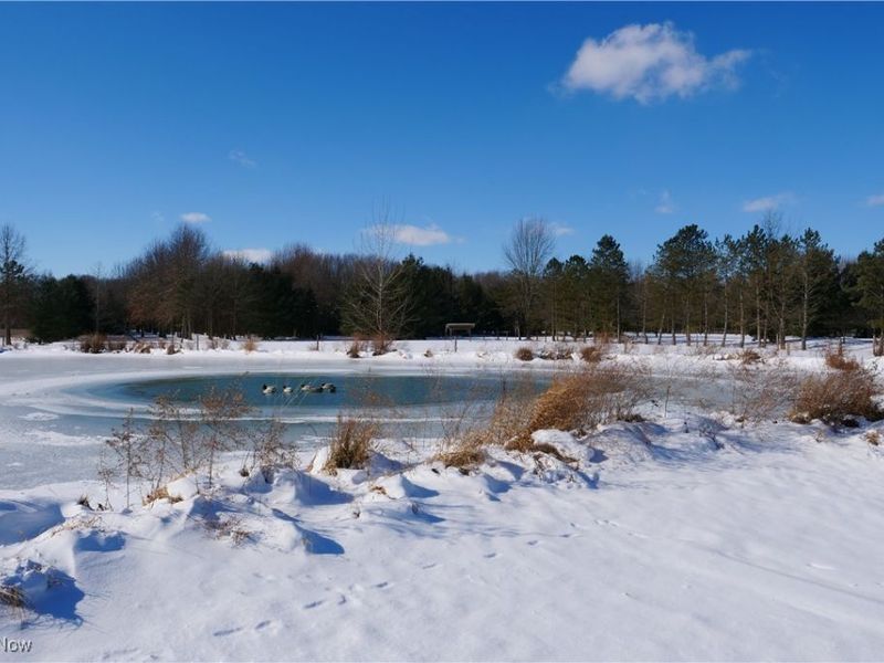 20630 State Route 301, Wellington, OH 44090 Photo 44