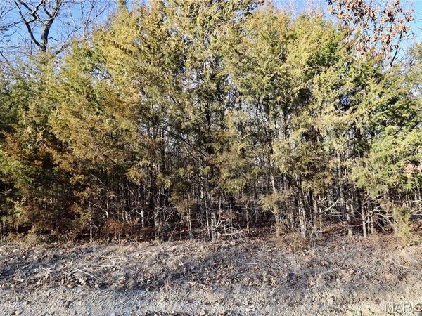 000 Cotrel Lane, Falcon, MO 65470