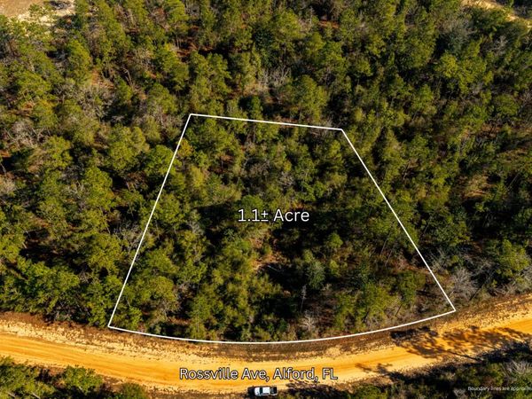 0 Rossville Avenue, Alford, FL 32420
