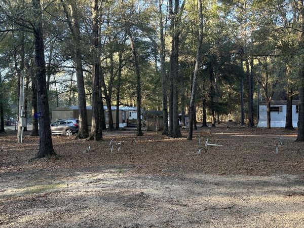 34 Hall Road, Hawkinsville, GA 31036