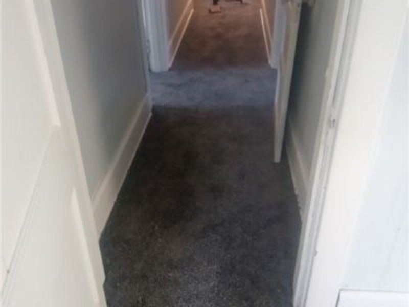 22862 Norman Avenue, Alliance, OH 44601 Photo 4