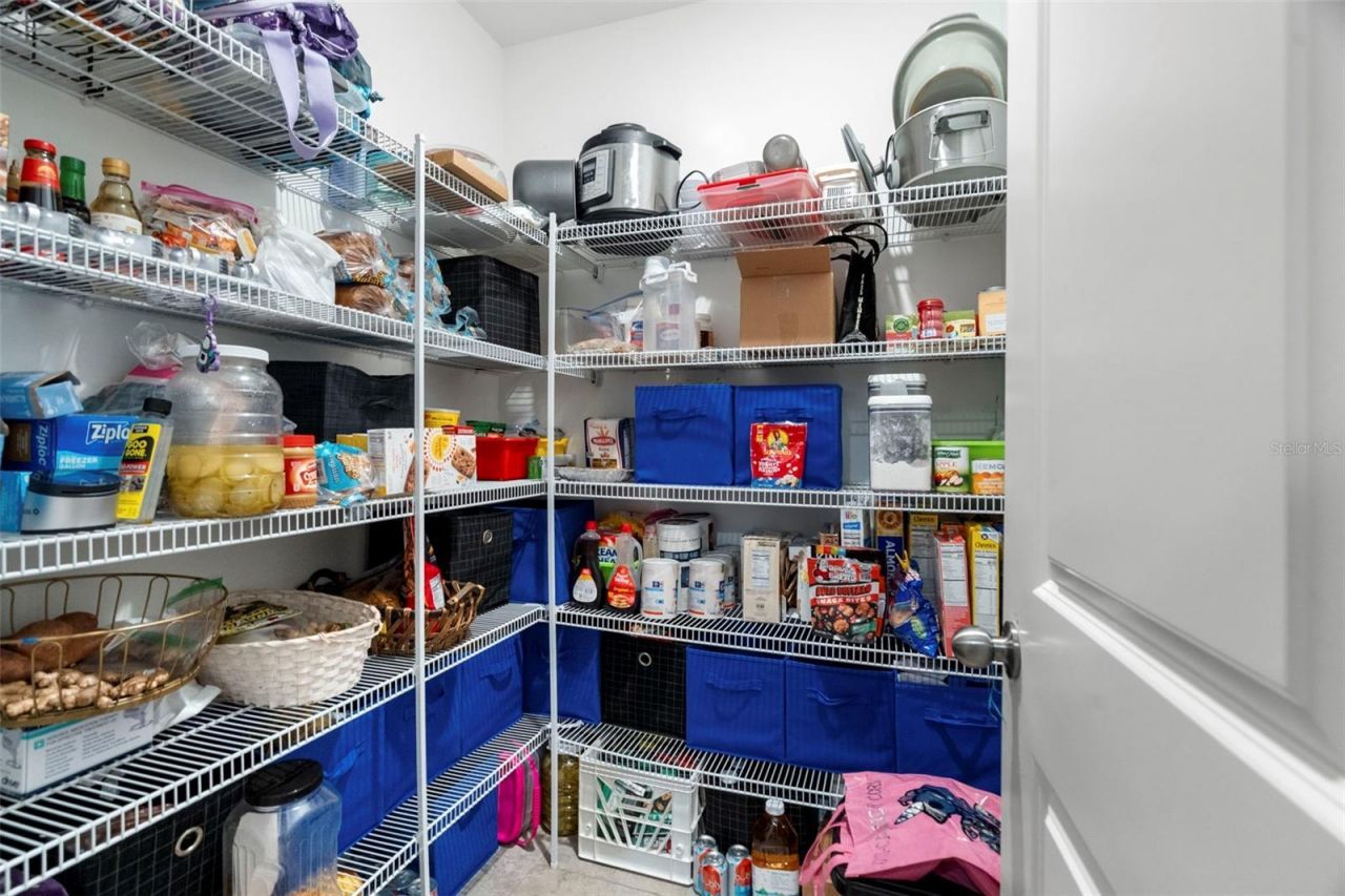 6601 Rainbow Springs Lane, New Port Richey, FL 34653 Photo