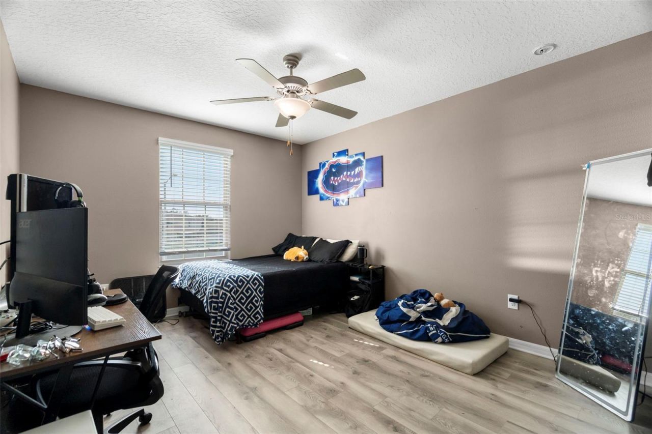 6601 Rainbow Springs Lane, New Port Richey, FL 34653 Photo