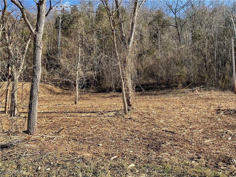 0000 Luke Chute, Waterford, OH 45786 Photo 2