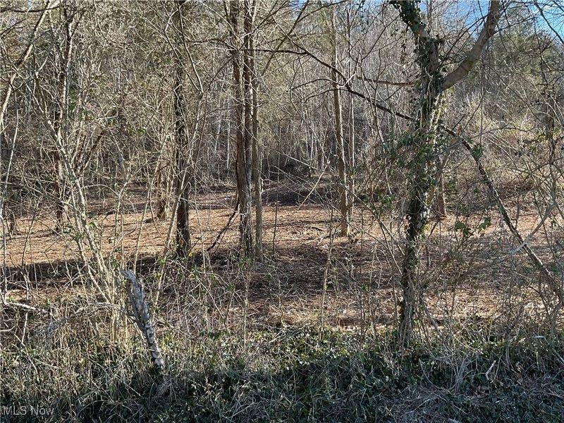 0000 Luke Chute, Waterford, OH 45786 Photo 4