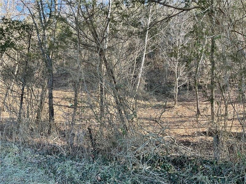 0000 Luke Chute, Waterford, OH 45786 Photo 5