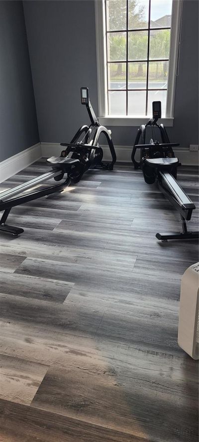 780 Waterfern Trail Drive, Auburndale, FL 33823 Photo