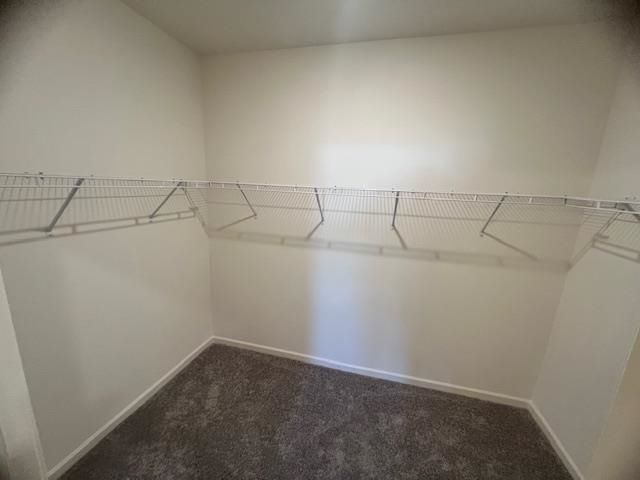 348 Azimuth Dr Photo 10