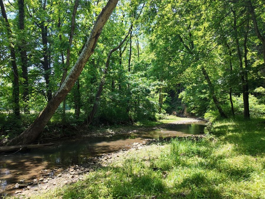 Property Image 8