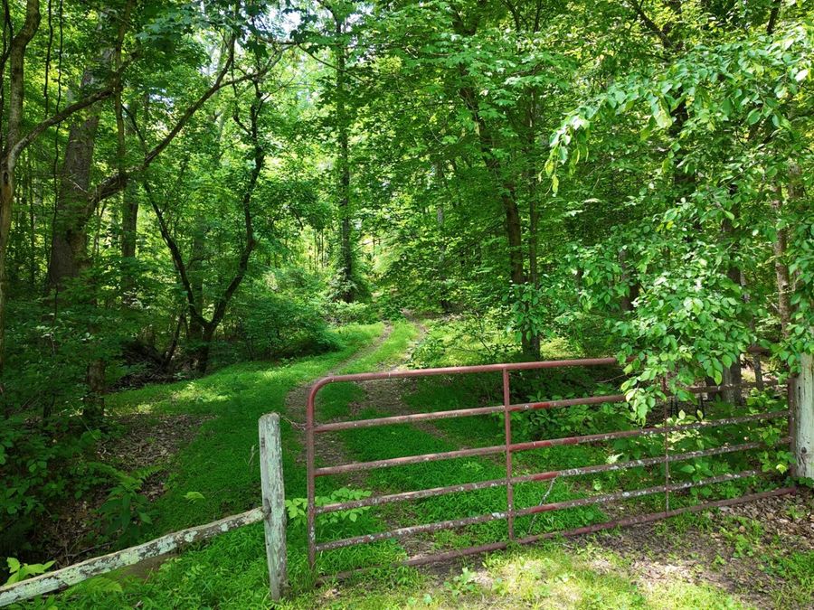 Property Image 76