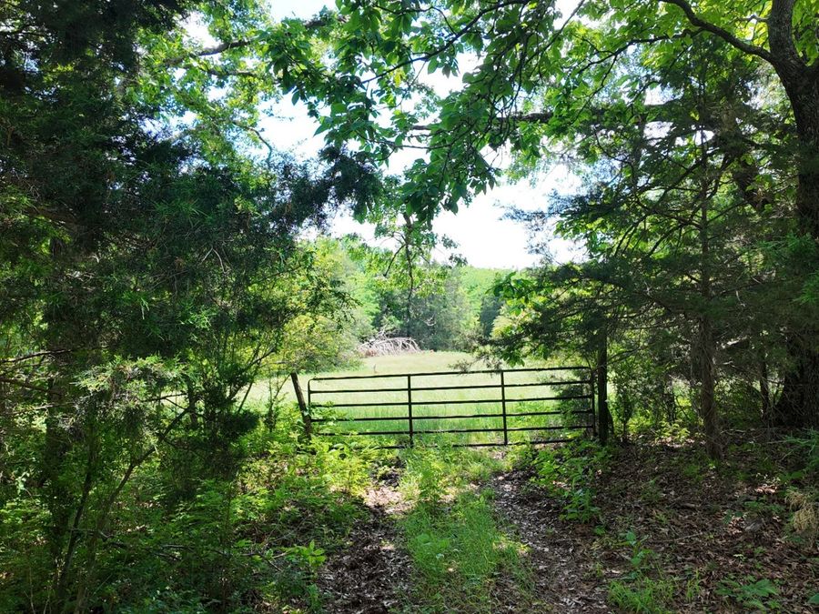 Property Image 80