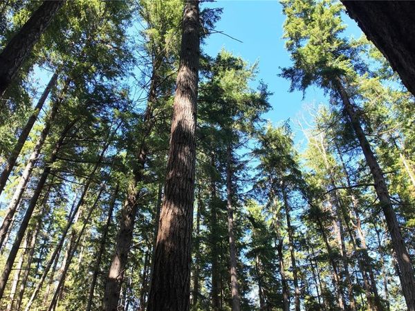 4480 Strachan Rd, Hornby Island, BC V0R 1Z0