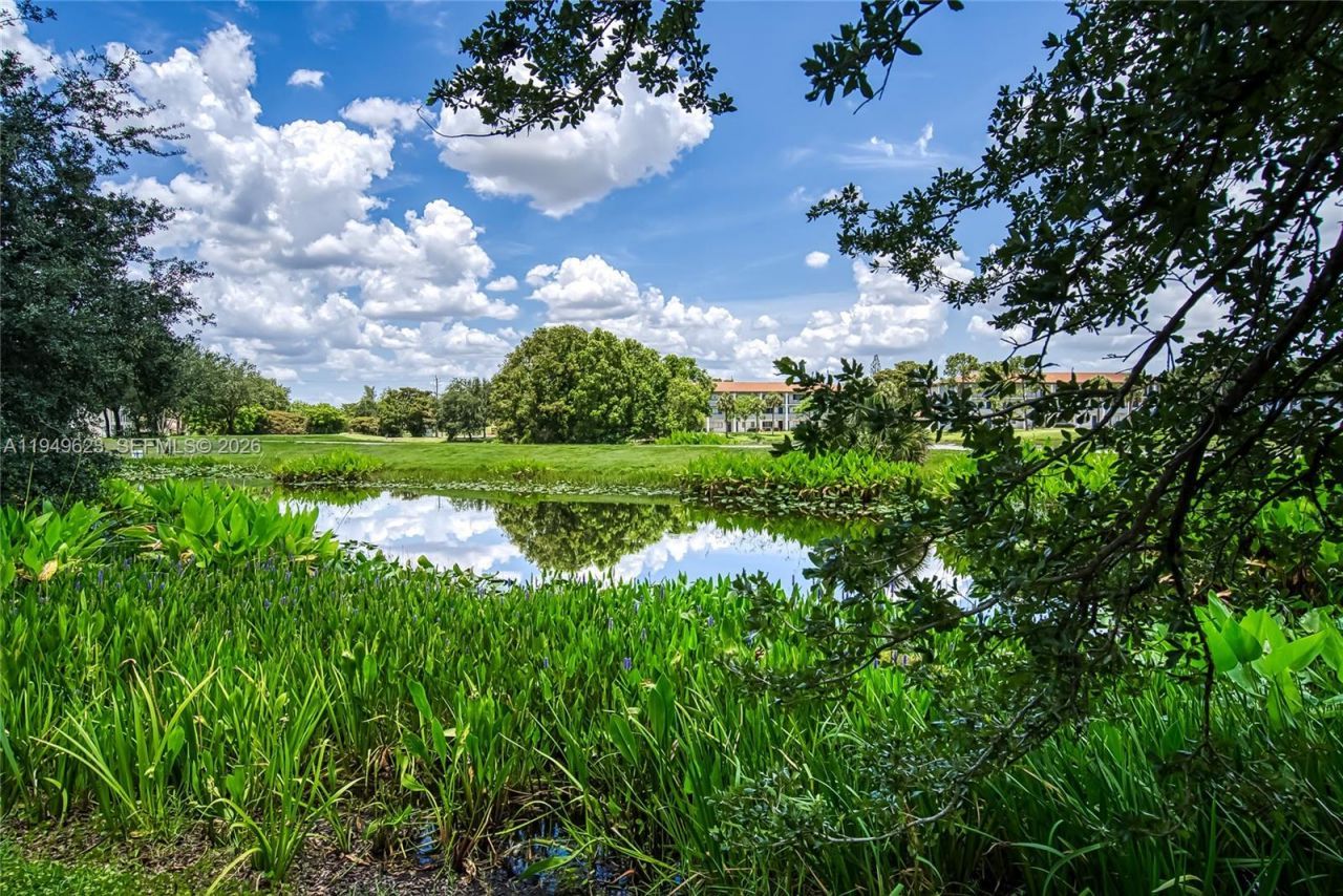 2500 SW 81st Ave , Unit 402, Davie, FL 33324 Photo