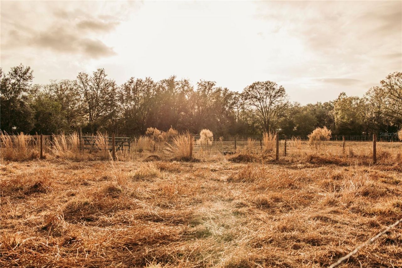 5812 N Dormany Road, Plant City, FL 33565 Photo