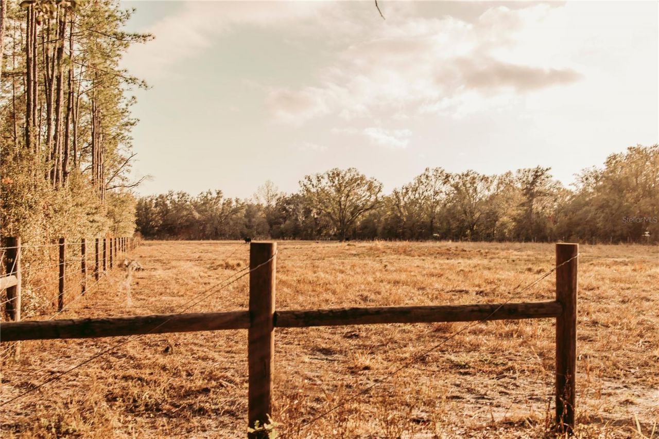 5812 N Dormany Road, Plant City, FL 33565 Photo