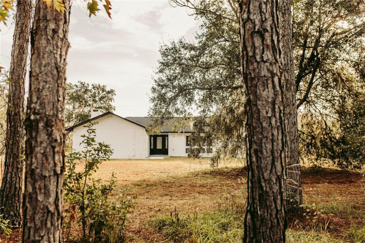 5812 N Dormany Road, Plant City, FL 33565 Photo