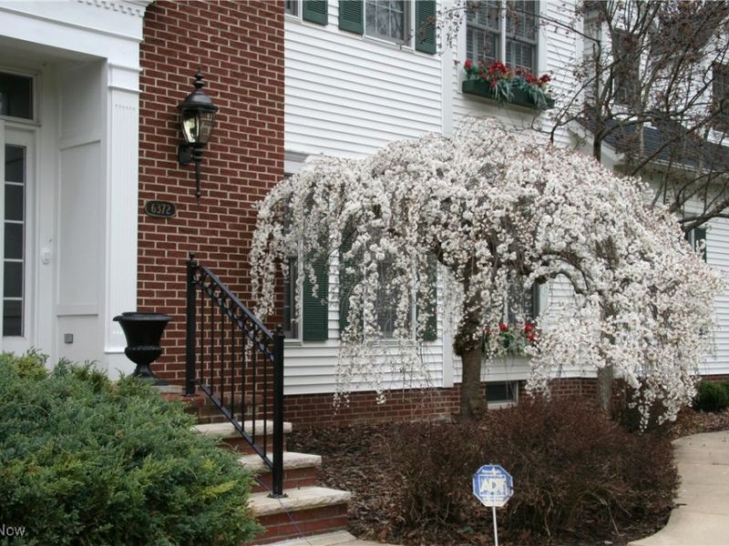 6372 Hardwick Circle, Hudson, OH 44236 Photo 45