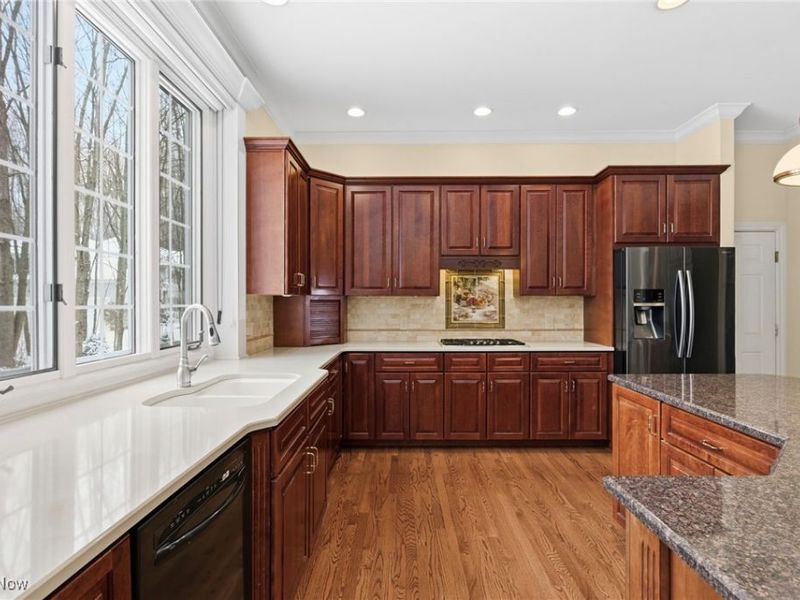 6372 Hardwick Circle, Hudson, OH 44236 Photo 9