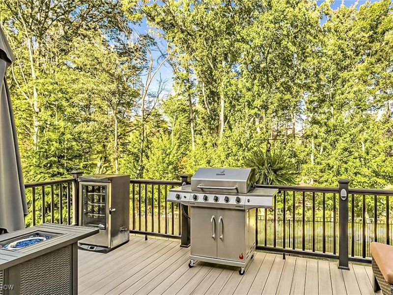 6990 S Great Oaks, Independence, OH 44131 Photo 42