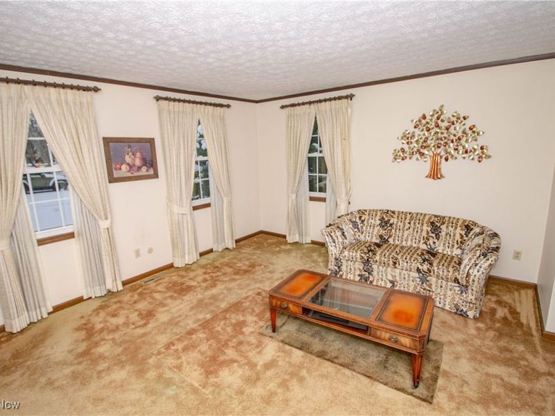 171 Ravenna Street, Hudson, OH 44236 Photo 21