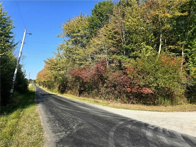 10745 Leffingwell Road, North Benton, OH 44449 Photo 10