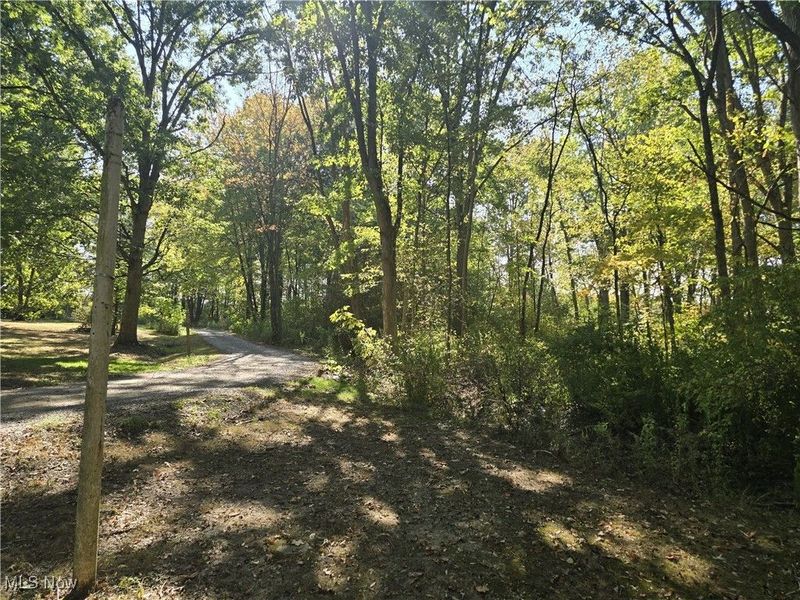 10745 Leffingwell Road, North Benton, OH 44449 Photo 11