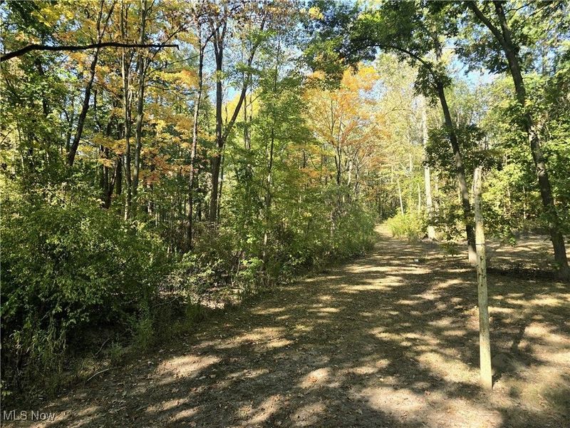 10745 Leffingwell Road, North Benton, OH 44449 Photo 12