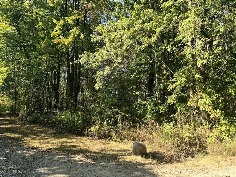 10745 Leffingwell Road, North Benton, OH 44449 Photo 13