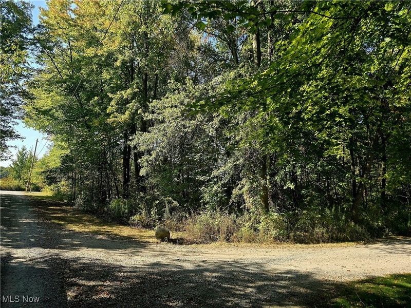 10745 Leffingwell Road, North Benton, OH 44449 Photo 14