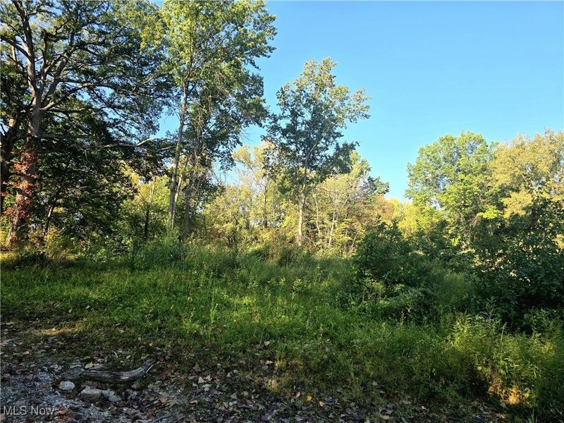 10745 Leffingwell Road, North Benton, OH 44449 Photo 16