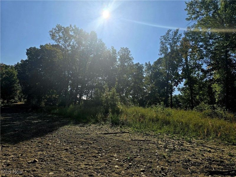 10745 Leffingwell Road, North Benton, OH 44449 Photo 4