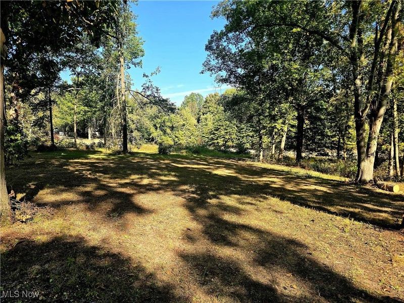 10745 Leffingwell Road, North Benton, OH 44449 Photo 5