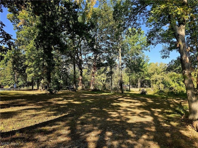 10745 Leffingwell Road, North Benton, OH 44449 Photo 6