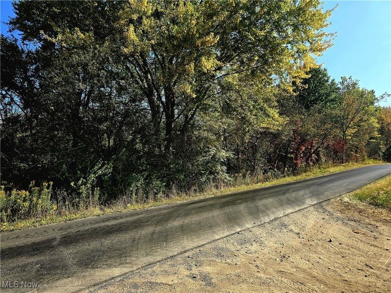 10745 Leffingwell Road, North Benton, OH 44449 Photo 8