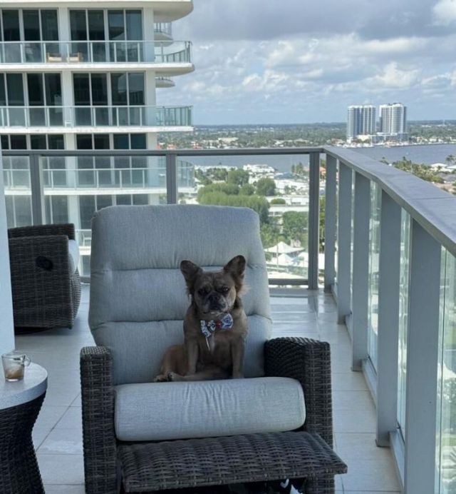 3100 N Ocean Drive, Unit H-1508 &am, Singer Island, FL 33404 Photo