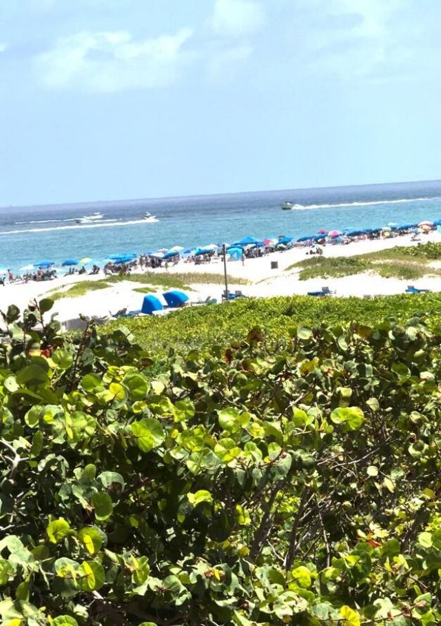 3100 N Ocean Drive, Unit H-1508 & H, Singer Island, FL 33404 Photo