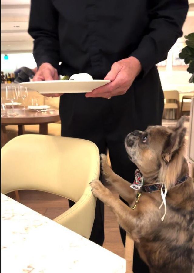 3100 N Ocean Drive, Unit H-1508 & H, Singer Island, FL 33404 Photo