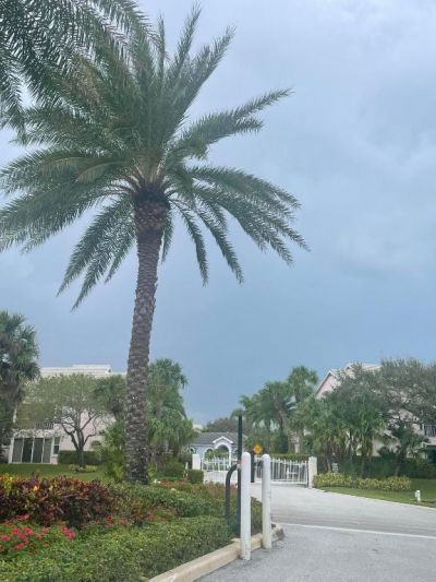 4205 N Fairway Drive, Unit 4205, Jupiter, FL 33477 Photo