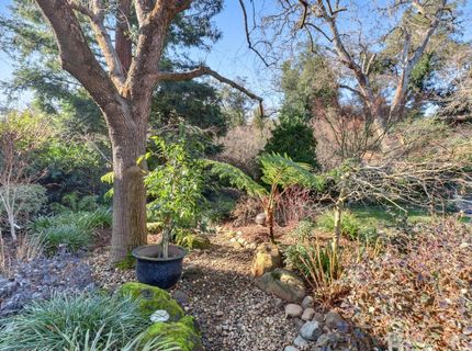 1749 Haggin Grove Way, Carmichael, CA 95608 Photo